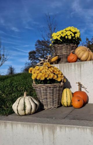 Screenshot 20251112 220335 Facebook